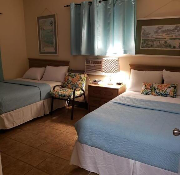 스탠다드 룸 더블 침대 2개, Midtown Guest House