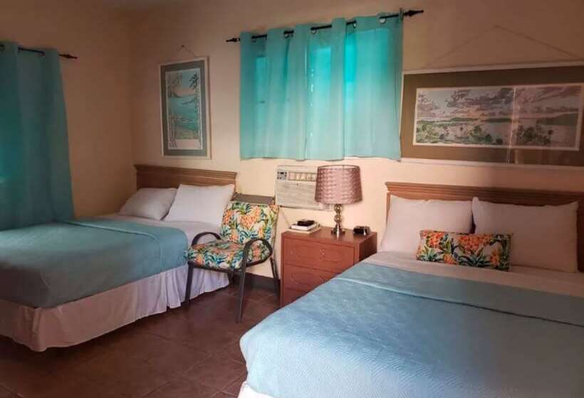 스탠다드 룸 더블 침대 2개, Midtown Guest House