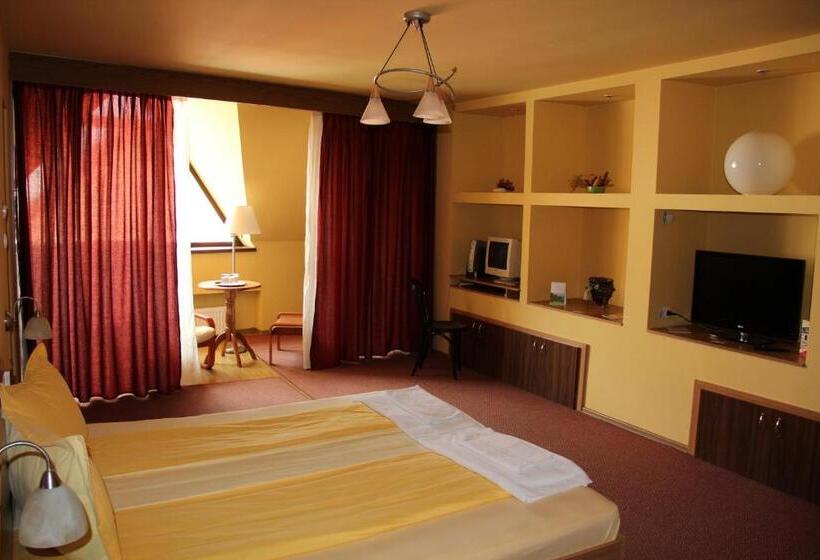 Номер Стандарт, Pensiunea Blanca