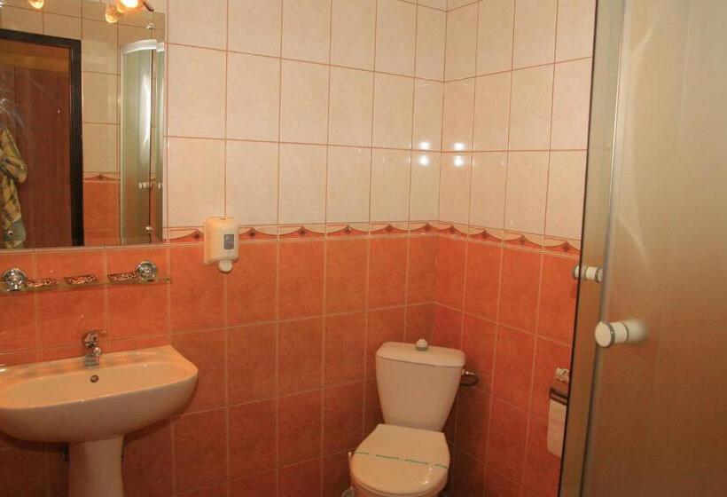 Номер Стандарт Трехместный, Pensiunea Blanca