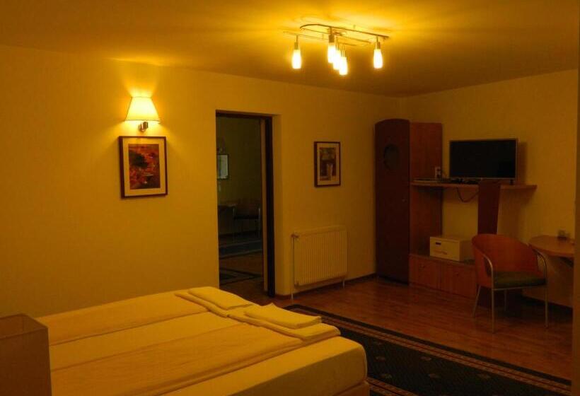 Апартаменты 2 Спальни, Pensiunea Blanca