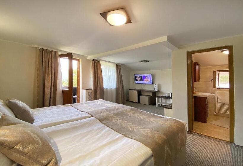 Номер Стандарт, Cabana Schiori