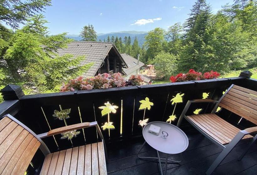 Номер Стандарт, Cabana Schiori