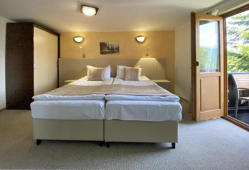 Номер Стандарт, Cabana Schiori