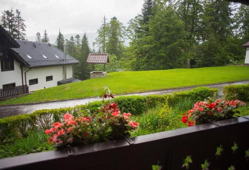 Люкс Дюплекс, Cabana Schiori