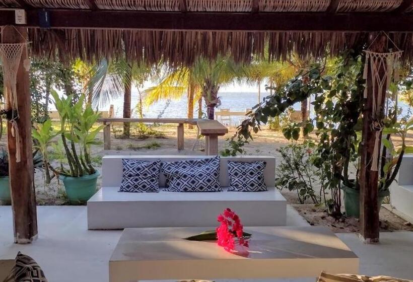 جناح بريميوم, Oceano Atins