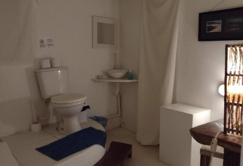 غرفة قياسية, Oceano Atins