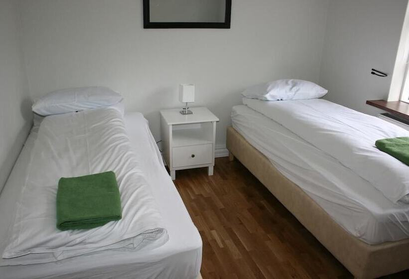 اتاق استاندارد سه تخته با سرویس بهداشتی مشترک, Birta Guesthouse