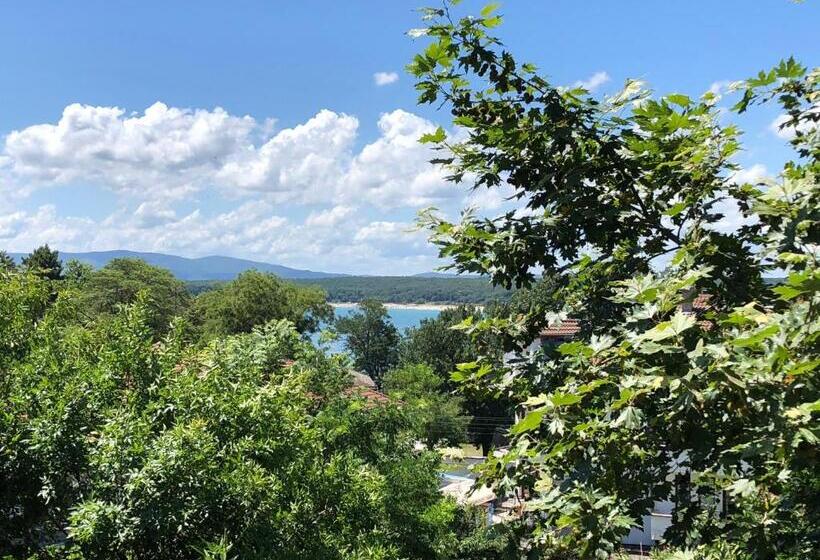 Номер Basic, Borko Guest House