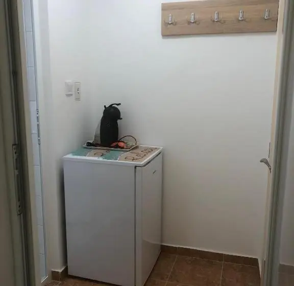 اتاق استاندارد با چشم‌انداز باغ, Borko Guest House