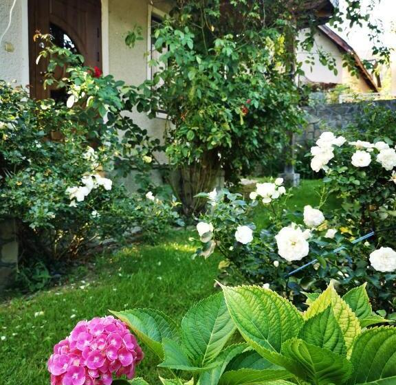 کلبه ییلاقی, Sadyba U Olgy