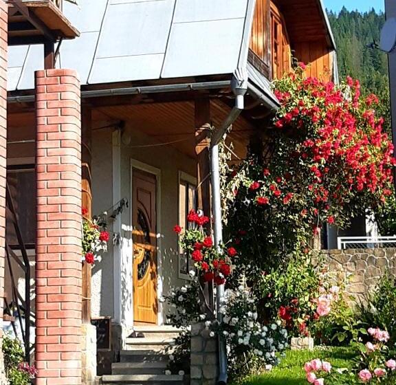 کلبه ییلاقی, Sadyba U Olgy