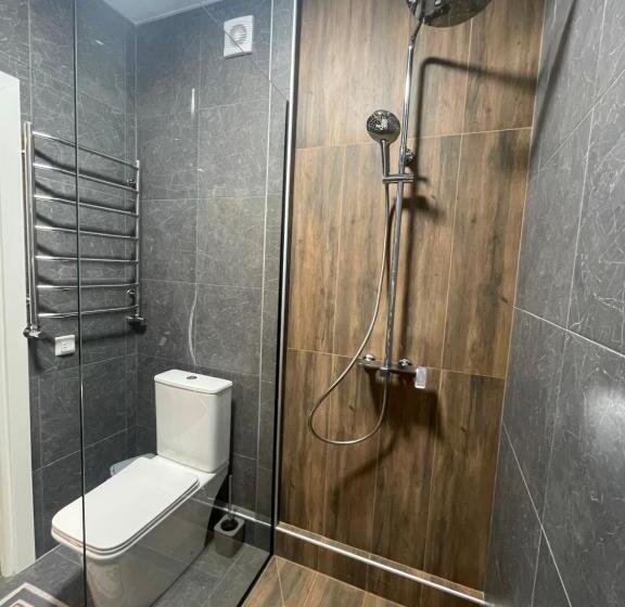 اتاق کلاسیک, Sadyba U Olgy