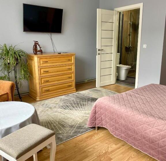 اتاق کلاسیک, Sadyba U Olgy