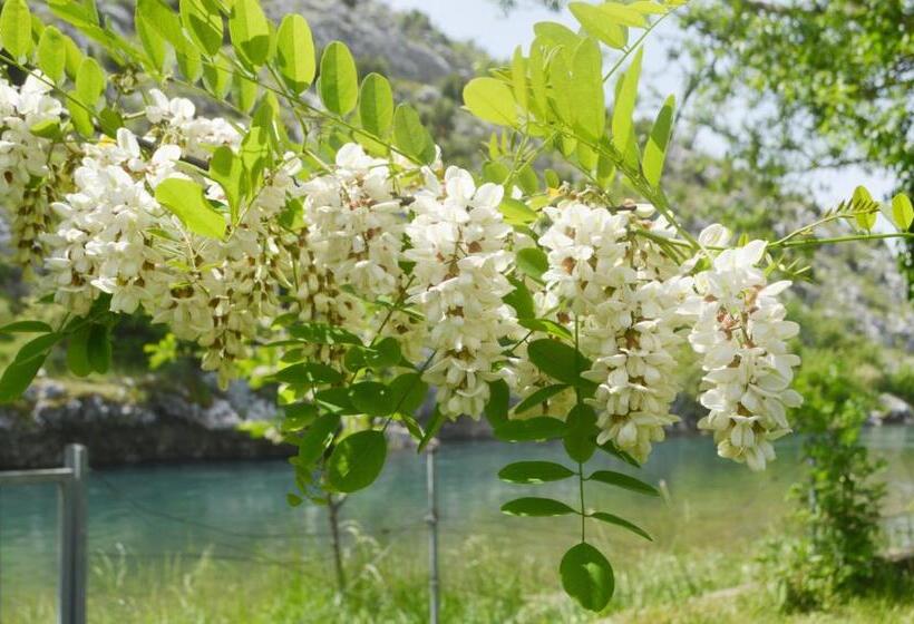 آپارتمان 1 خوابه با تراس, Villa Bašić