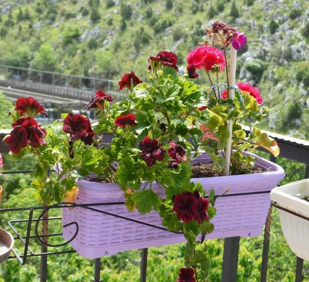 اتاق استاندارد با بالکن, Villa Bašić