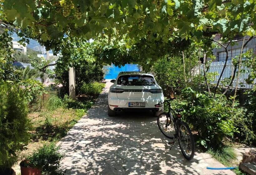 إستوديو قياسى مطل على البحر مزوَّد بشرفة, Magic Ionian Apartments & Rooms