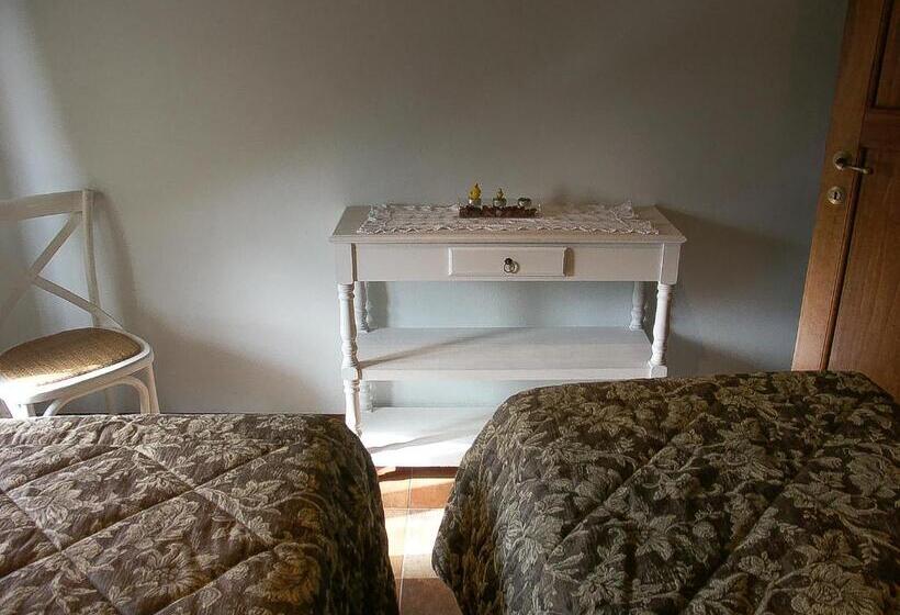 标准单人间, Anna Camere