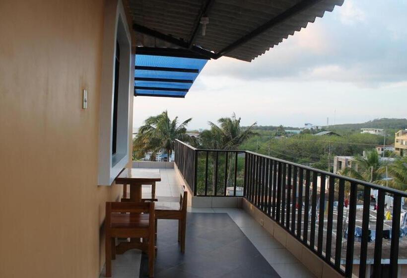 اتاق استاندارد, Dolphin House