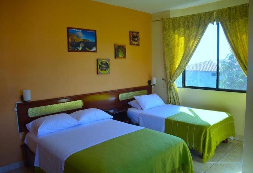 اتاق استاندارد, Dolphin House