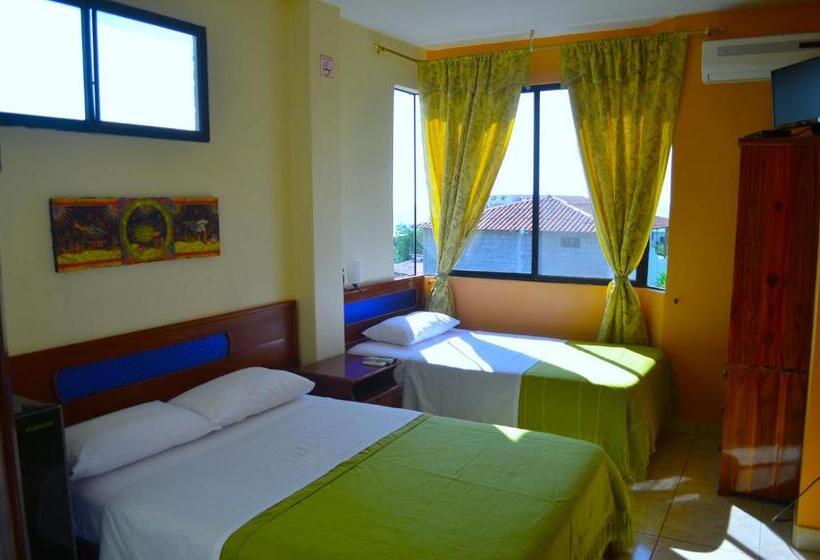 اتاق استاندارد, Dolphin House