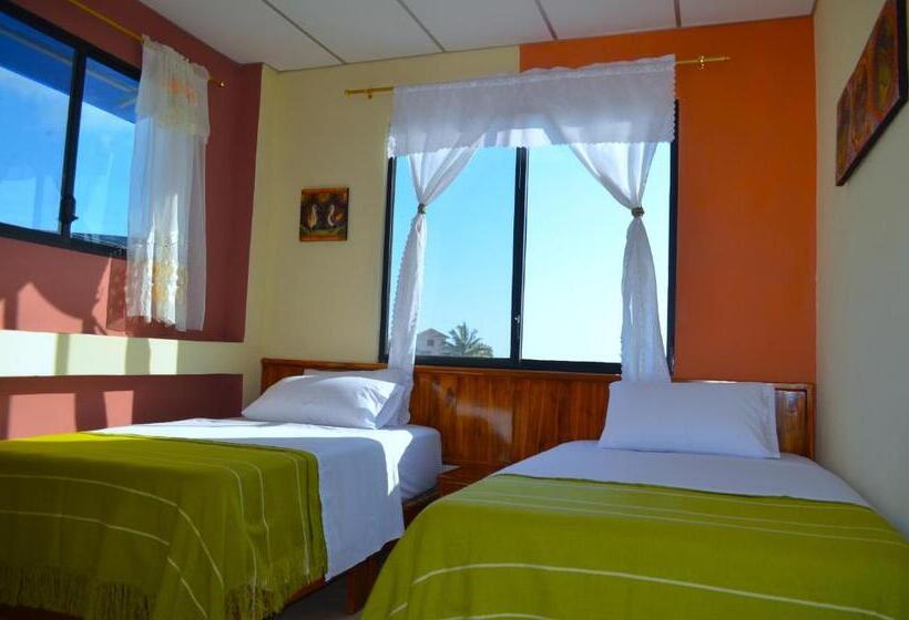 اتاق استاندارد, Dolphin House