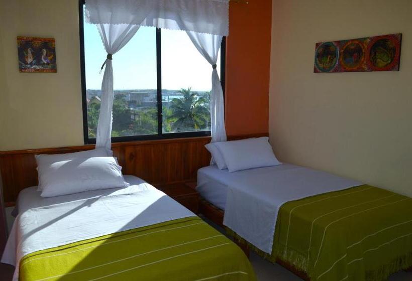 اتاق استاندارد, Dolphin House