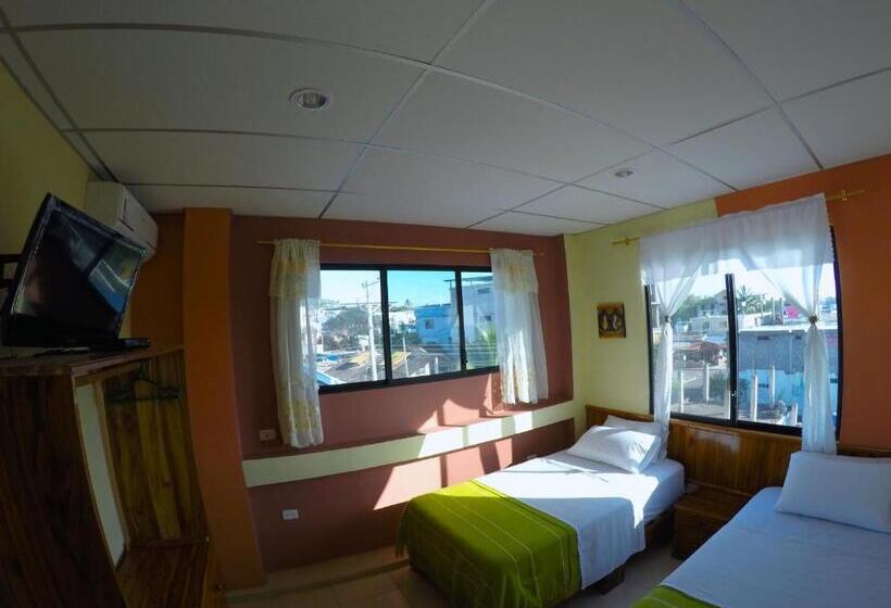 اتاق استاندارد, Dolphin House