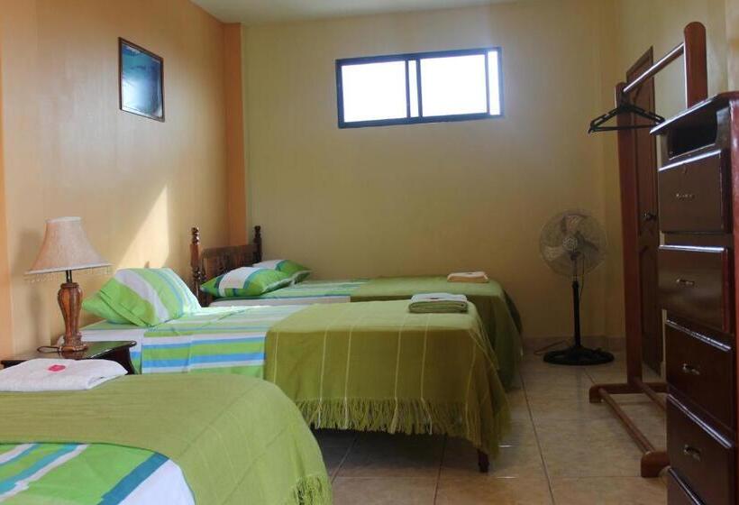 اتاق استاندارد چهار تخته, Dolphin House