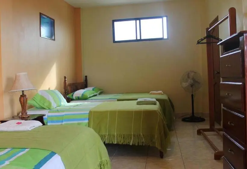 اتاق استاندارد چهار تخته, Dolphin House
