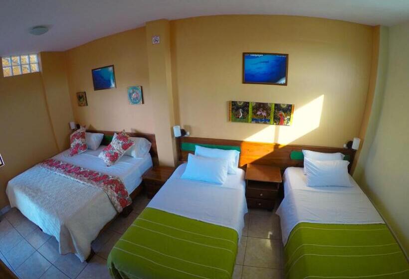 اتاق استاندارد چهار تخته, Dolphin House