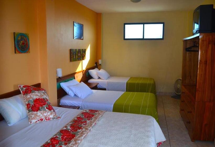 اتاق استاندارد چهار تخته, Dolphin House