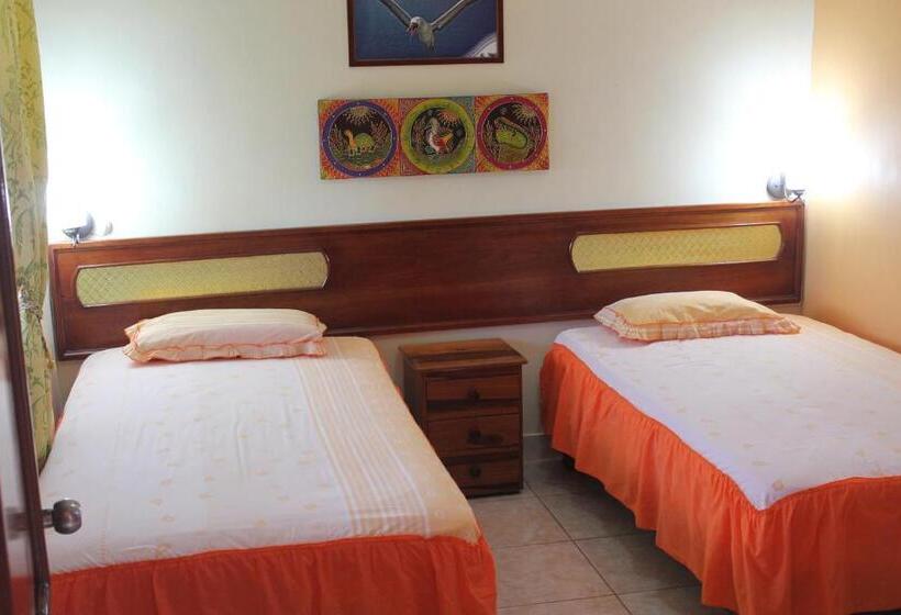 اتاق اکونومی, Dolphin House