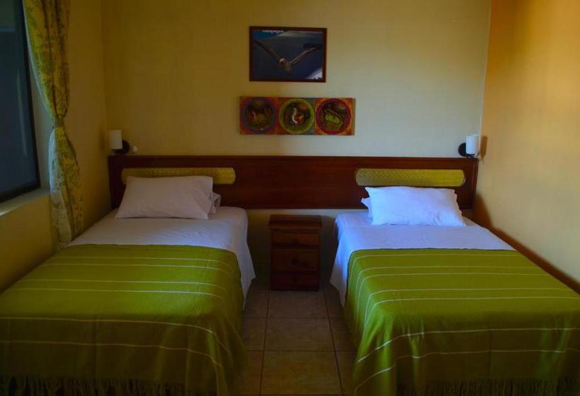 اتاق اکونومی, Dolphin House