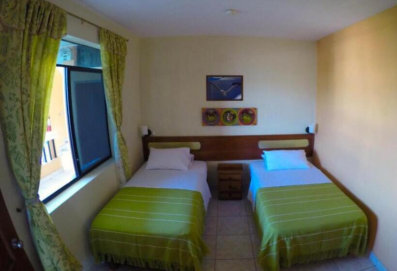 اتاق اکونومی, Dolphin House