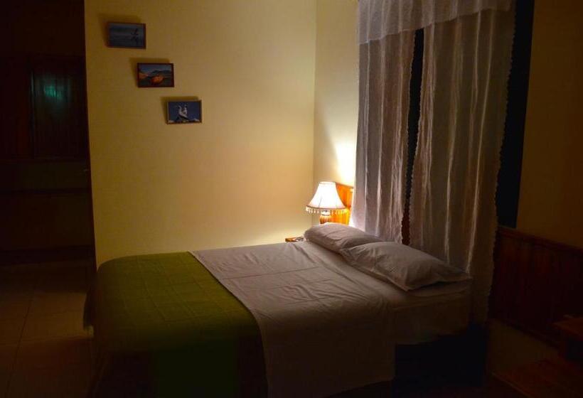 اتاق سوپریور, Dolphin House