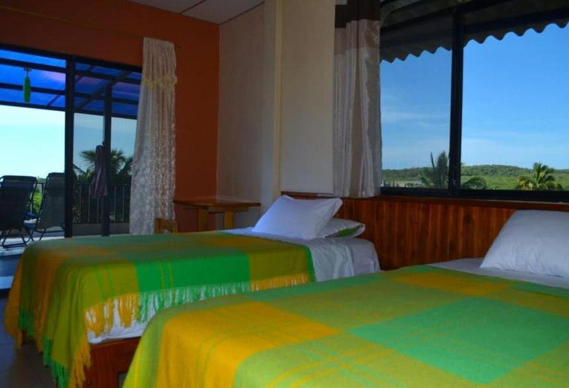 اتاق سوپریور, Dolphin House