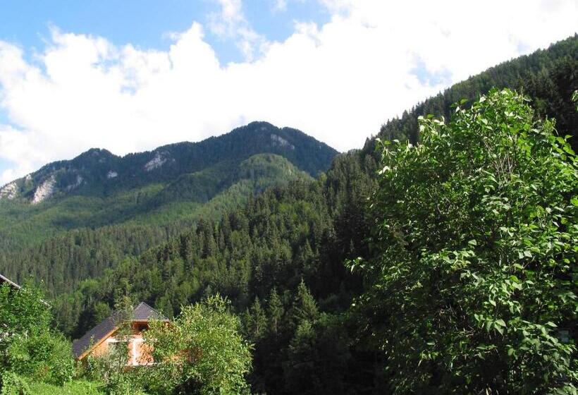 اتاق استاندارد با تخت بزرگ, Guest House And Museum Firšt