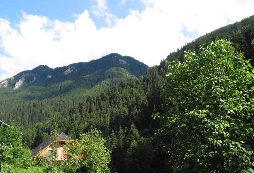 اتاق استاندارد با تخت بزرگ, Guest House And Museum Firšt