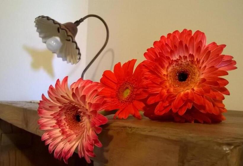 4인용 스탠다드 룸, Agriturismo Rossococomero