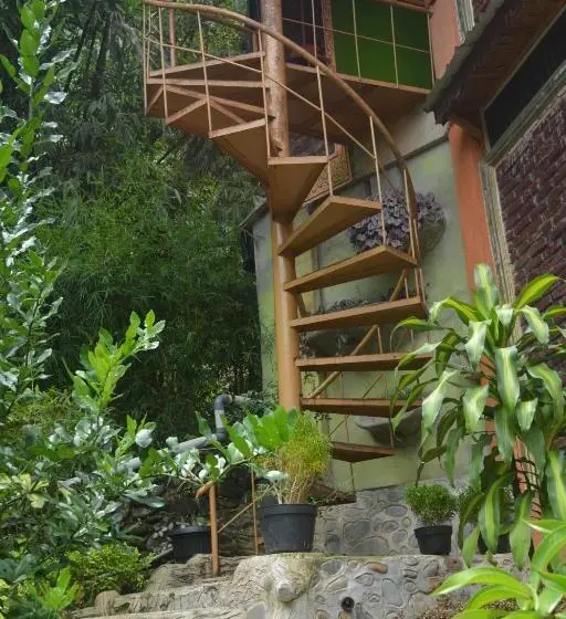 デラックススイート, Junia Guesthouse Bukit Lawang