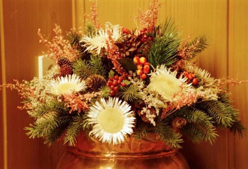 스탠다드 룸, Gästehaus Elvia