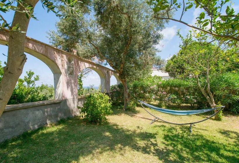 استودیوی استاندارد, La Rosa Dei Venti