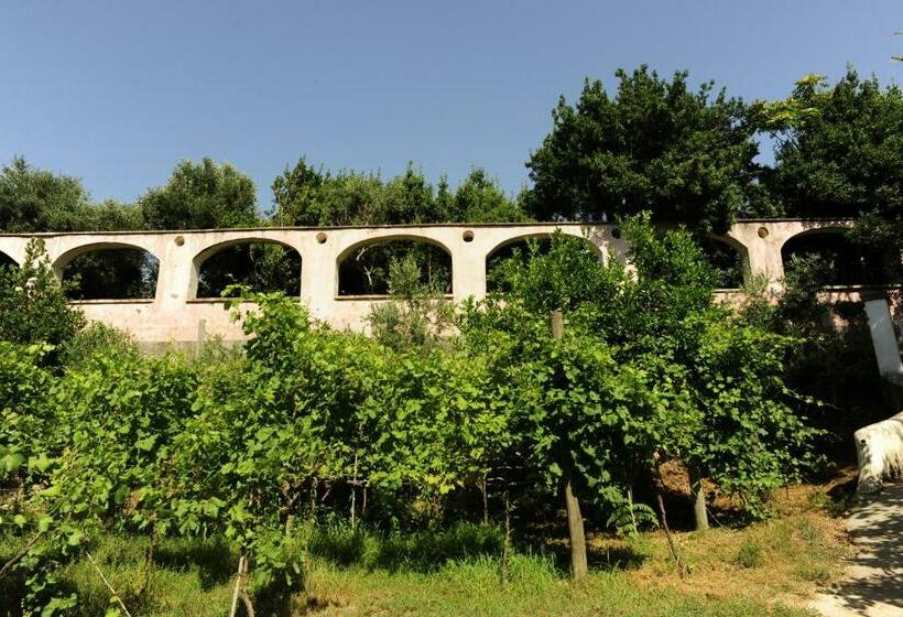 آپارتمان 1 خوابه, La Rosa Dei Venti