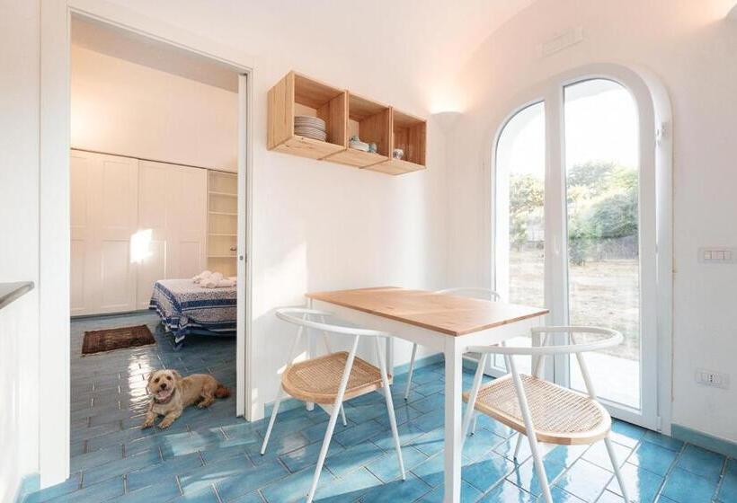 آپارتمان 1 خوابه با چشمانداز دریا, La Rosa Dei Venti