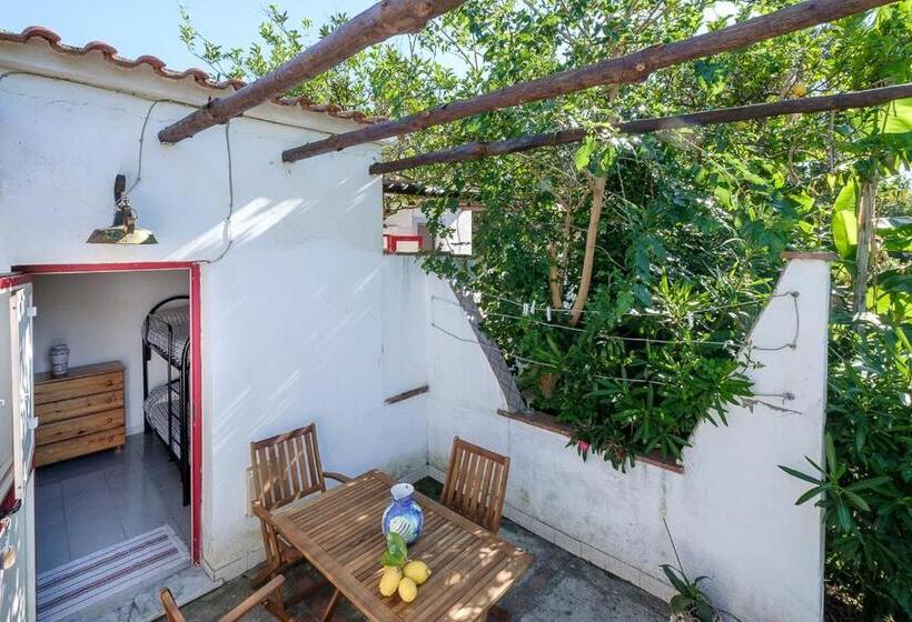 آپارتمان 1 خوابه, La Rosa Dei Venti