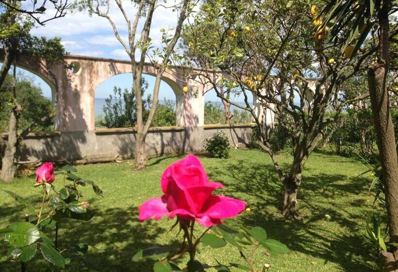 آپارتمان 1 خوابه, La Rosa Dei Venti