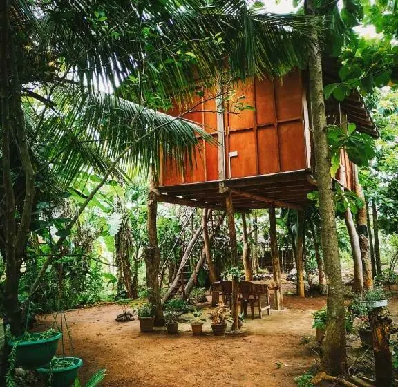 エコノミールーム, Sigiri Aliya Tree House