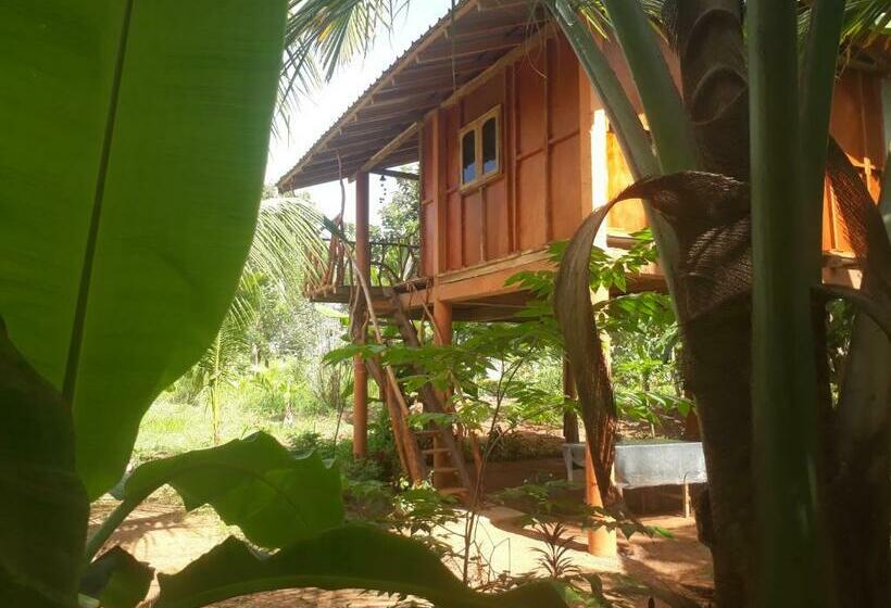 3 Bett Economy Zimmer, Sigiri Aliya Tree House