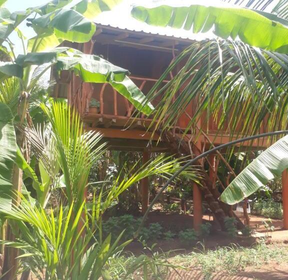 3 Bett Economy Zimmer, Sigiri Aliya Tree House